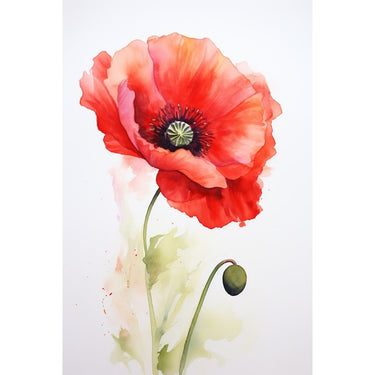 Poppy Flower Watercolor Canvas